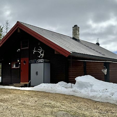 Koselig Hytte Med Usjenert Og Solrik Beliggenhet Geilo Bagian luar foto