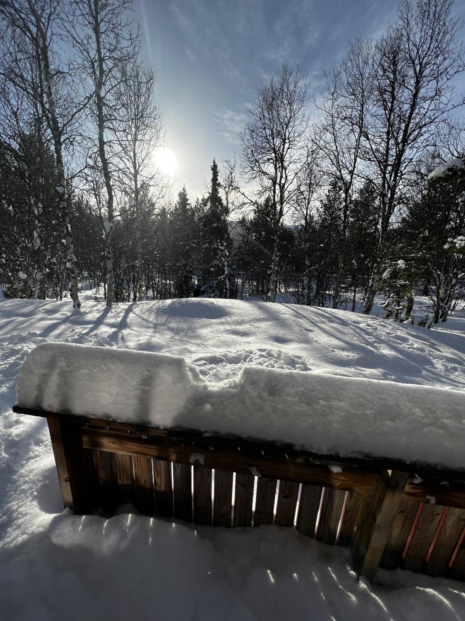 Koselig Hytte Med Usjenert Og Solrik Beliggenhet Geilo Bagian luar foto