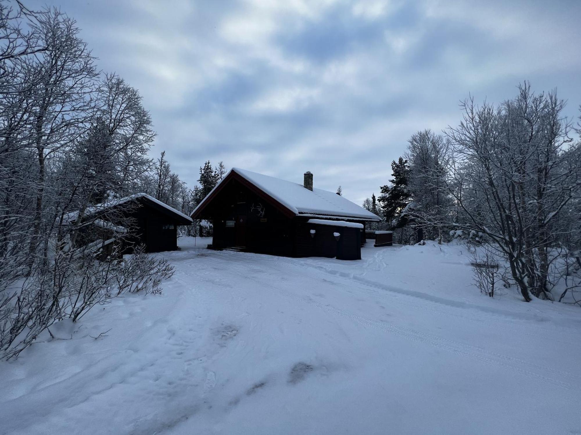 Koselig Hytte Med Usjenert Og Solrik Beliggenhet Geilo Bagian luar foto