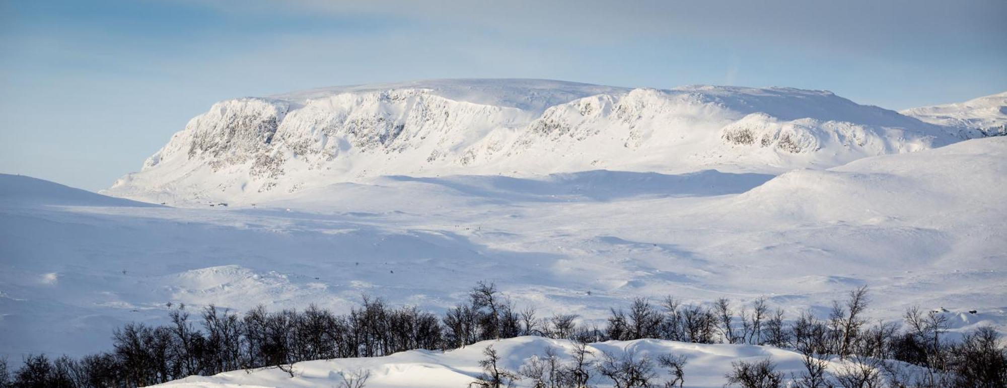 Koselig Hytte Med Usjenert Og Solrik Beliggenhet Geilo Bagian luar foto