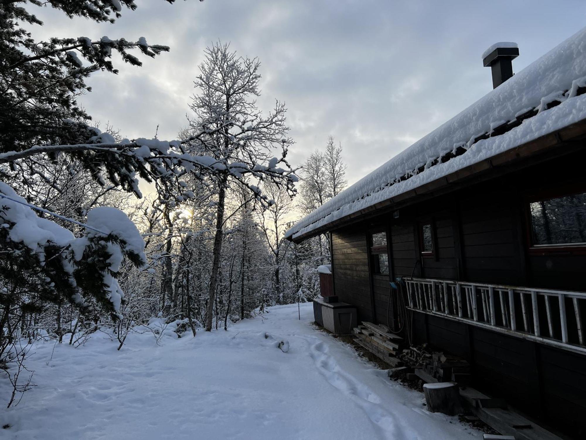 Koselig Hytte Med Usjenert Og Solrik Beliggenhet Geilo Bagian luar foto